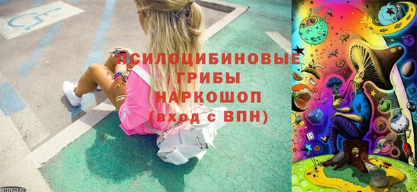 СК Вяземский