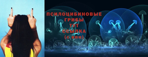 СК Вяземский