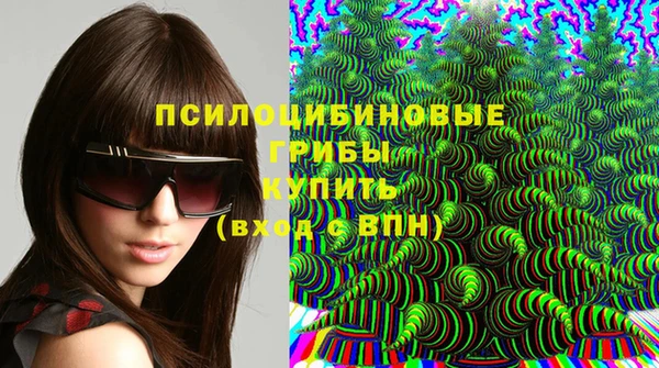 прущий лед Вязники