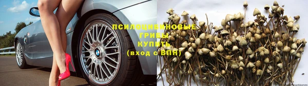 прущий лед Вязники