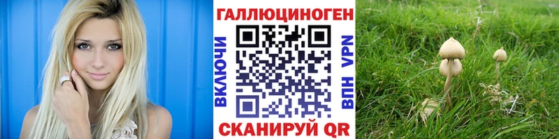 Псилоцибиновые грибы ЛСД  Купить закладки  Краснокамск 